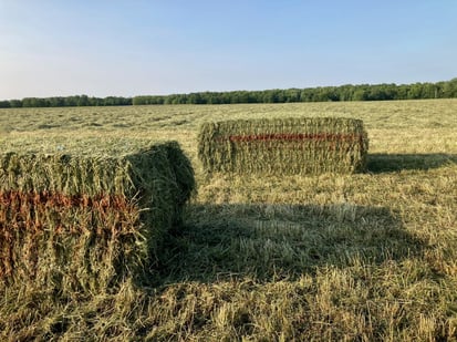 striped bale pic